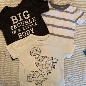 Toddler Boy T-Shirt Bundle Size: 2T